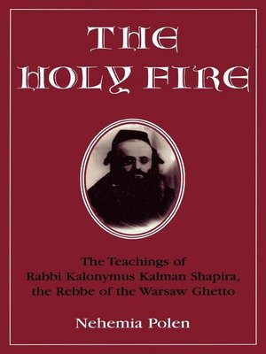 cover image of The Holy Fire